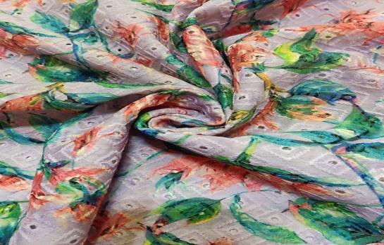 Cotton Shipli Fabric