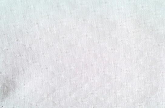 Eucalyptus Fabric